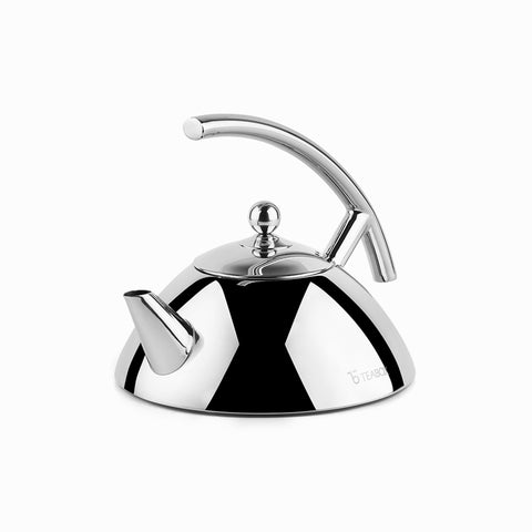 Bevel Stainless Steel Kettle