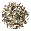 Darjeeling Special Spring Flowery Black Tea