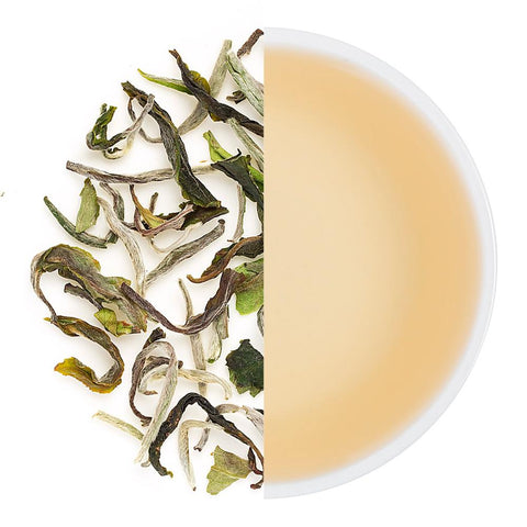 Glenburn Special Spring Oolong Tea
