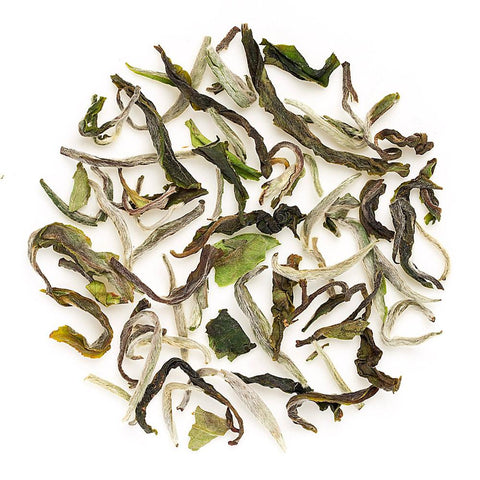 Glenburn Special Spring Oolong Tea