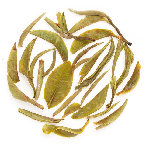 Glenburn Special Spring Oolong Tea
