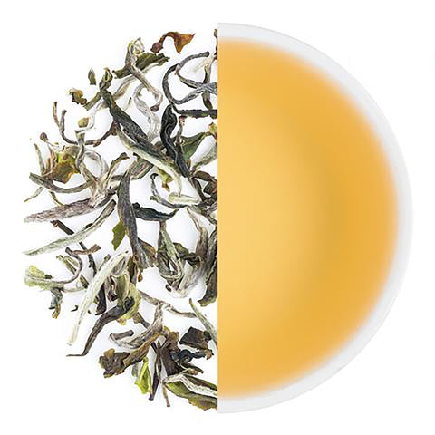 Darjeeling Special Spring White Tea