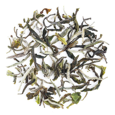 Darjeeling Special Spring White Tea