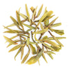 Darjeeling Special Spring White Tea