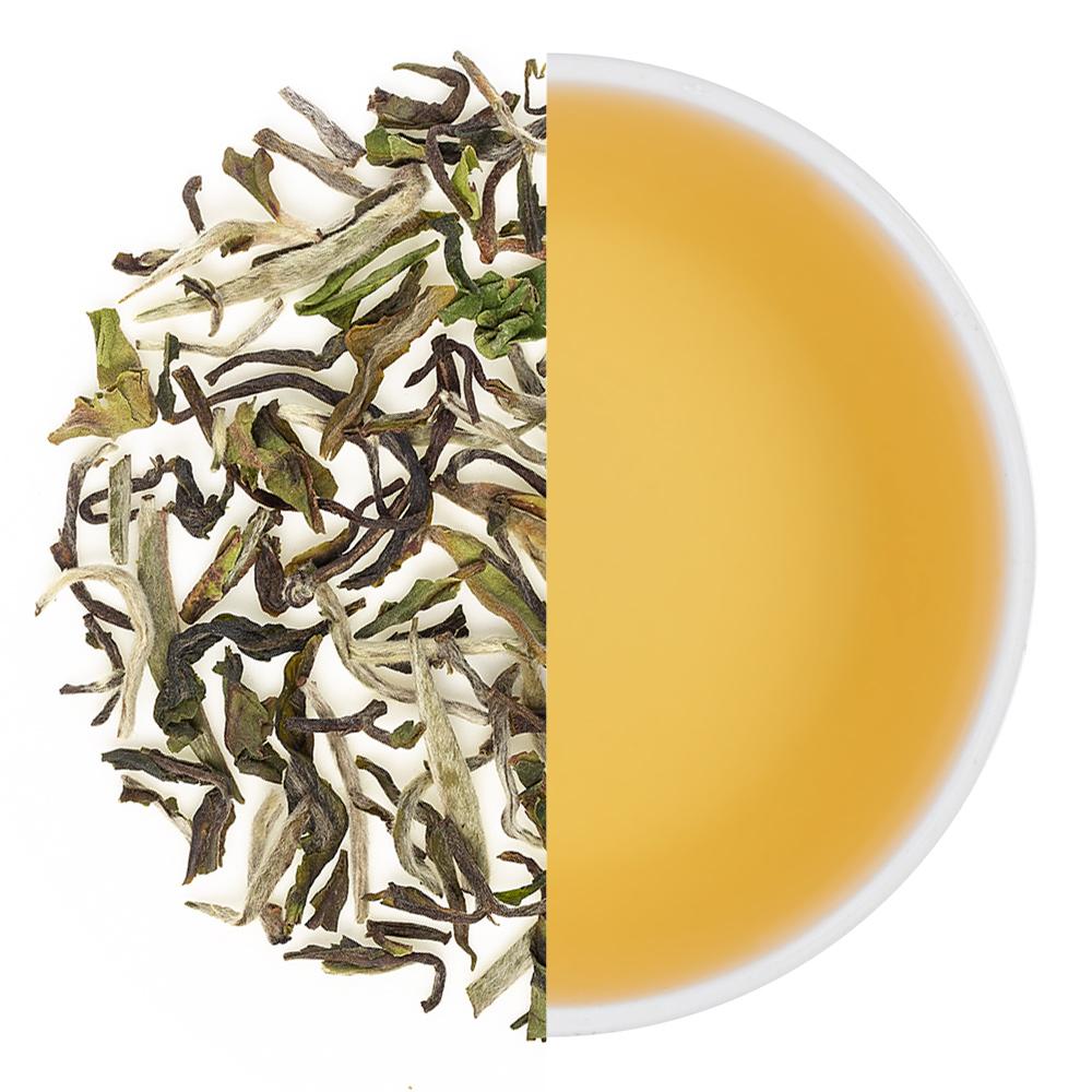 Goomtee Special Spring Chinary Black Tea