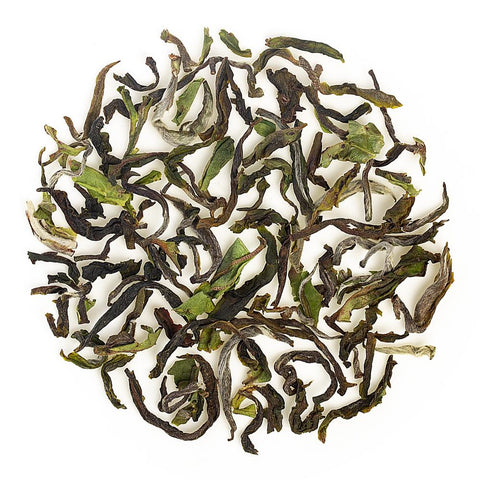Goomtee Special Spring Black Tea