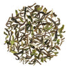 Jungpana Exotic Spring Clonal Black Tea