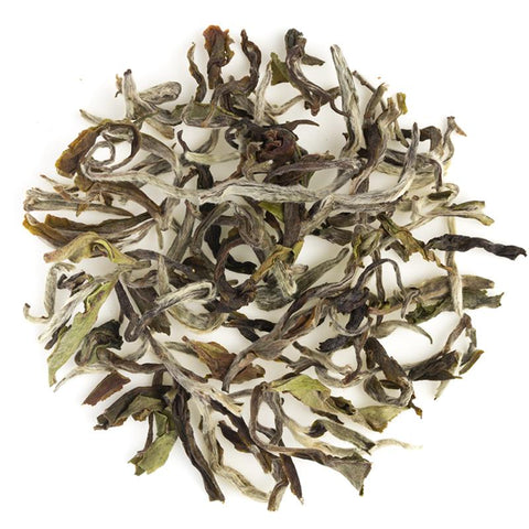 Darjeeling Special Spring Clonal Black Tea
