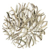 Darjeeling Special Spring Silver Needle White Tea