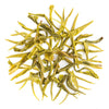 Glendale Exotic Winter Frost Green Tea
