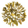 Pascoe's Woodlands Special Winter Frost Green Tea