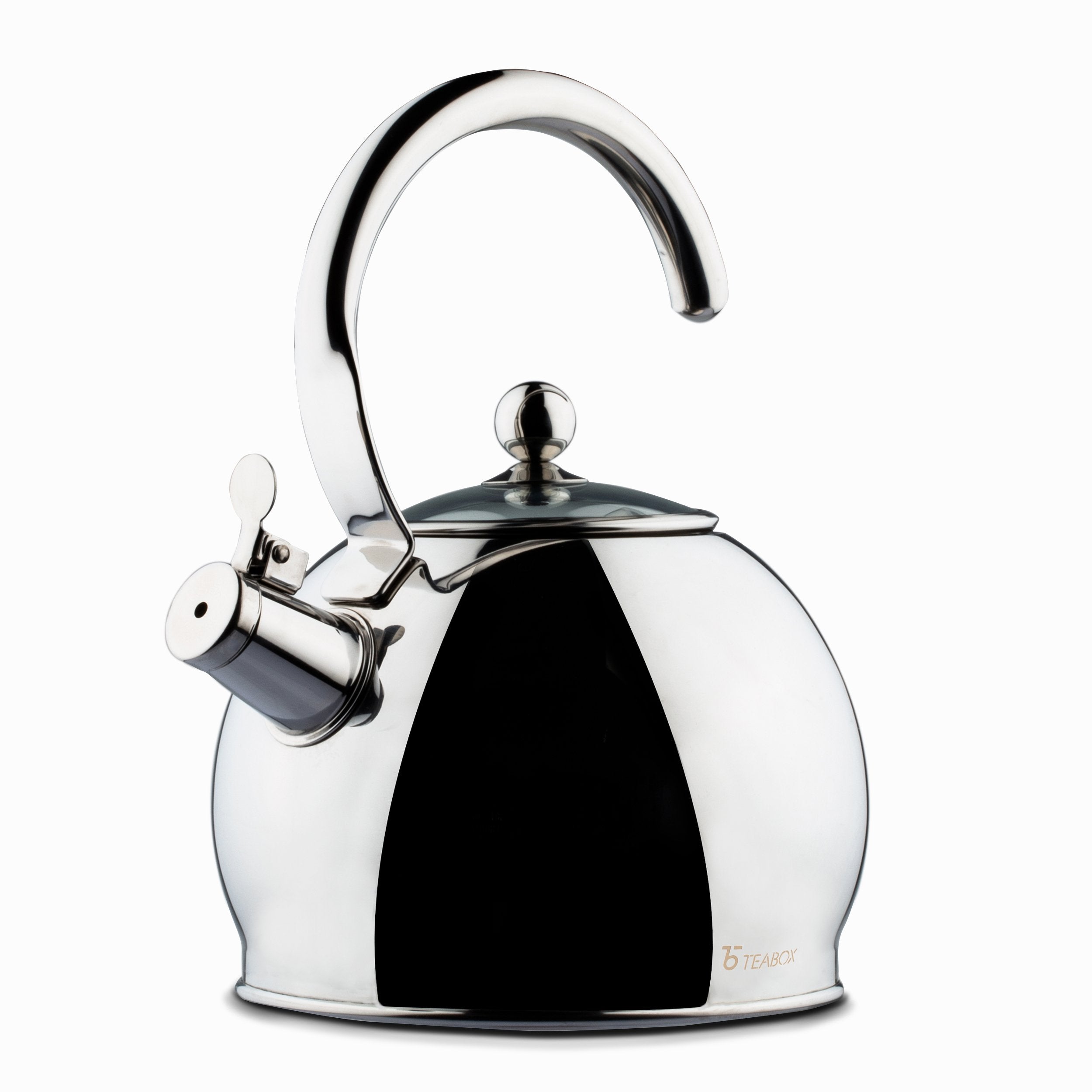 Camber Stainless Steel Kettle