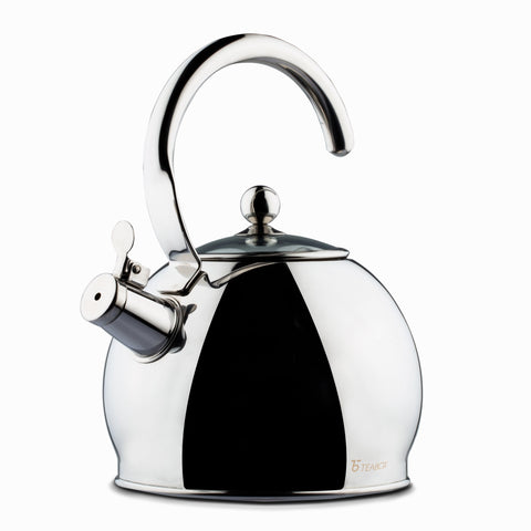 Camber Stainless Steel Kettle