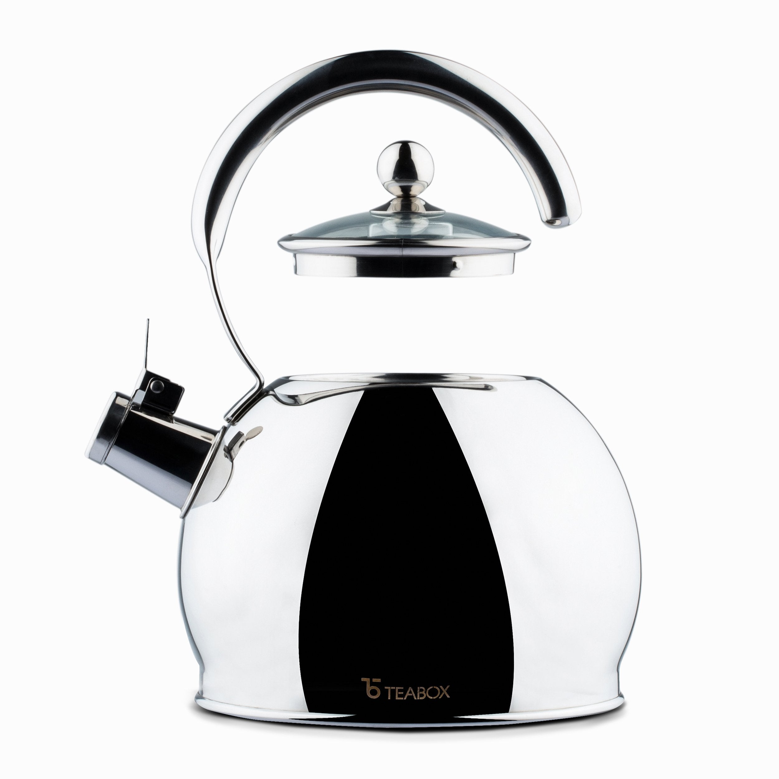 Camber Stainless Steel Kettle