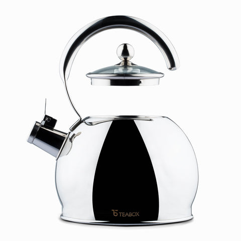 Camber Stainless Steel Kettle