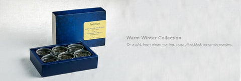 Warm Winter Collection